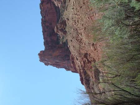 DSCF0012