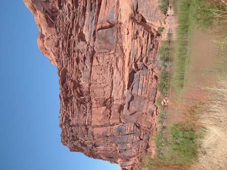DSCF0084