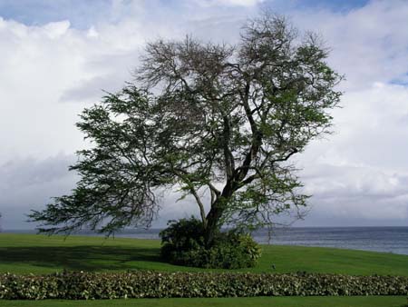 P3234261
