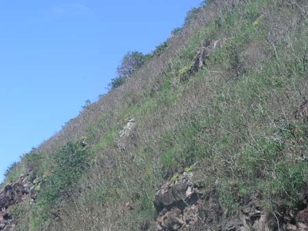 P3244327