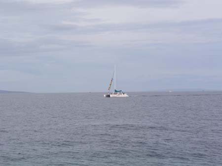 P3254372