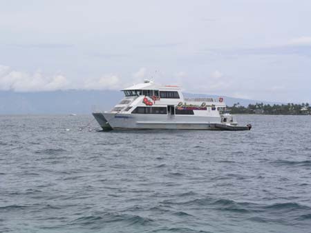 P3254385