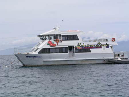 P3254386