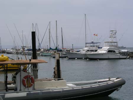P3254393