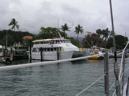 P3254438