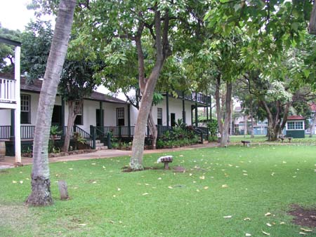 P3264471