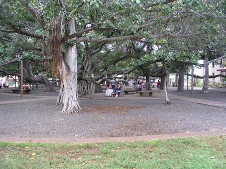 P3264473