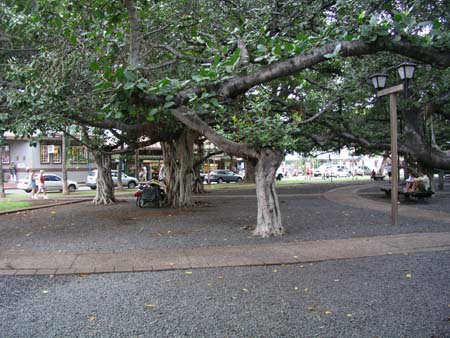 P3264474
