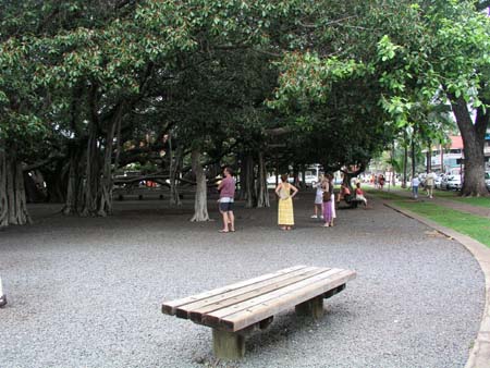 P3264480